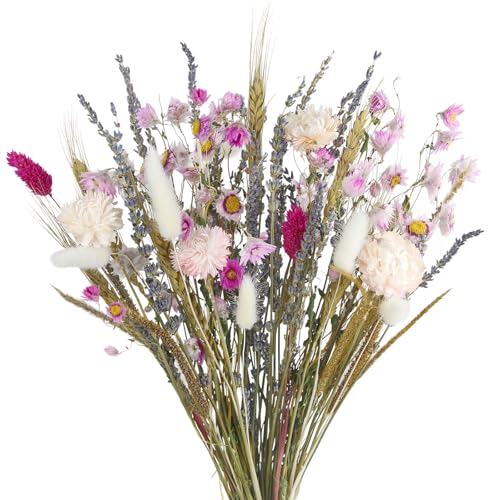 Dried Flowers Bouquet Dried Daisy Flower Natural Lavender Dry Flower Bunny Tails Pink Gerber Daisies Flowers Wheat Stalks Floral Stems Arrangements for Vase Table Centerpiece Decor Farmhouse - color: Pink, Natural