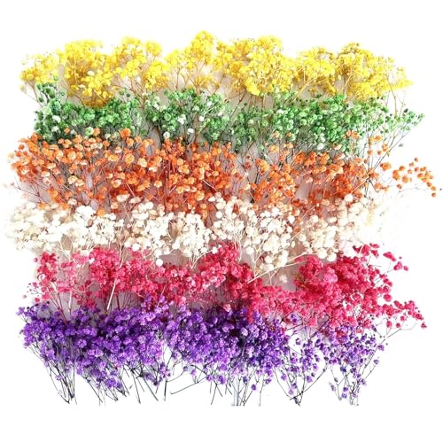 120 Pcs Mini Dried Baby Breath Flowers Gypsophila Ivory Mixed Color Flowers Dried Flowers for Vase Wedding Home Office Party Garden Card Making Decor Wreath Floral Craft DIY Art (Mixed Colors) - color: Mixed Colors