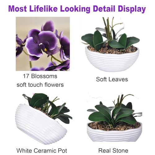 19" H Phalaenopsis Faux Orchid Plant Silk Orchid Centerpiece Artificial Floral Arrangement in Ceramic Pot (Deep Purple) - color: Deep Purple