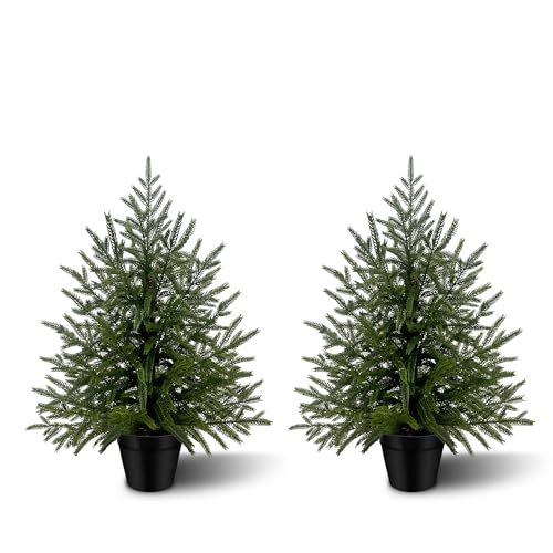 2FT Artificial Norfolk Pine Trees 2-Pack, Real Touch Faux Cedar Topiary Set in Black Pots, Small Indoor Outdoor Fake Evergreen Plants for Desk, Tabletop, Shelf Decor - color: 2, size: 2ft