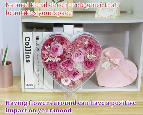 Valley of Rain & Forest Long-Lasting Real Flowers, "Sweet" Preserved Floral Gift With Lights For you to send Love for All Occasions, for Indoor Decoration (Pink & White Roses Arrangement) - color: Pink & White Roses Arrangement
