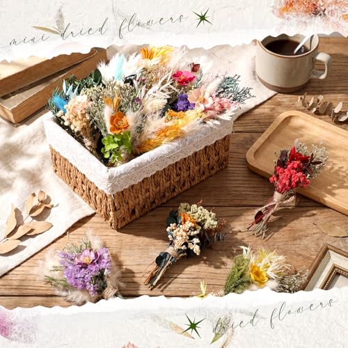 Layhit 12 Pcs Boho Dried Flower Bouquet Mini Wedding Handmade Dry Flowers Decor for Vase Crafts DIY Photo Boutonniere for Men Floral Plant for Bridesmaid Gift Birthday Decor(Camellia) - style: Camellia