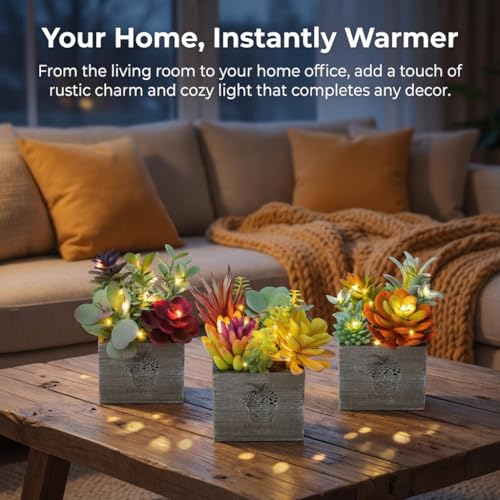 Succulents Plants Artificial, Small Faux Plants with Lights, Assorted Decorative Fake Succulent Potted for Office Desk Bathroom Bedroom Shelves Windows Room Decor - color: Natural Logic