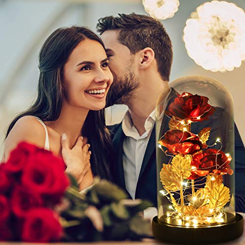 Valentines Day Gifts for Her,Beauty and The Beast Rose Birthday Gift,Galaxy Flower Rose with 2 Light Modes,Colorful Crystal Flower Enchanted Rose in Glass Dome,Womens Gifts for Mom Wife Girlfriend - color: Red