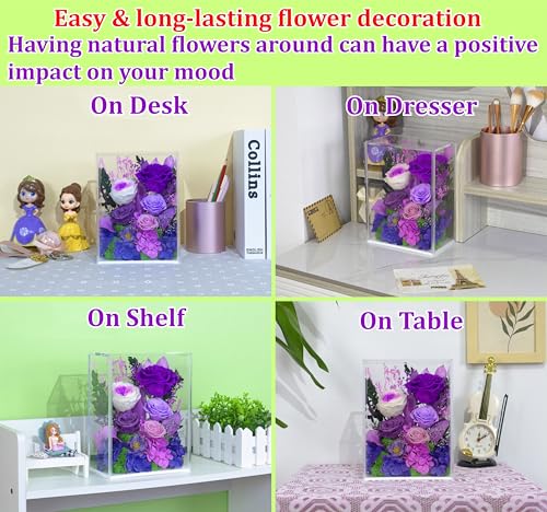 Valley of Rain & Forest Long-Lasting Real Flowers, Handcrafted Preserved Rose Bush For you to Send Love for All Occasions, Floral Arrangement for Indoor Decoration (Dark Purple Rose) - color: Dark Purple Rose