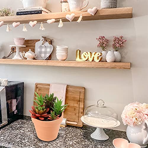 Briful Small Succulents Artificial 2 Pcs Fake Succulent Plants Faux Succulents in Pots Assorted Succulent Arrangements for Home Office Bathroom Room Shelf Rustic Farmhouse Windowsill Decor - color: Style #06