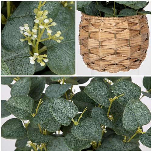 DILATATA Artificial Eucalyptus Stems in Woven Basket Planter, 11" Fake Plant Eucalyptus Leaves with White Seeds Faux Potted Plant Greenery for Table Centerpiece Office Indoor Home Decor - color: Style#1