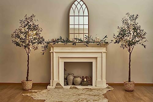 Hairui Lighted Olive Tree with 300 Warm White Fairy Lights 6FT with Dimmer and Timer, Faux Greenery Tree Lights for Indoor Outdoor Home Decoration - style: 6FT-Olive Tree