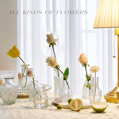 Glass Bud Vase Set of 20, Small Flower Vases, Glass Vases for Centerpieces, Vintage Home Table Decorations Bud Vases (20 Pcs, Clear) - color: Clear, size: 20 Pcs