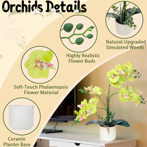 ucky Apple Green 15.7" 3D Lifelike Artificial Orchid Plant with 20 Heads, Realistic Faux Phalaenopsis in Ceramic Pot for Home Decor, Elegant Fake Flower Arrangement Table Centerpiece - color: Apple Green