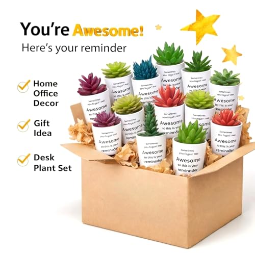 24 Set Artificial Faux Succulents in Pots Mothers Day Mini Fake Plants Plastic Artificial Plants Sometimes You Forget You're Awesome for Mother Gift Employee Nurses Coworker Colleague Teachers