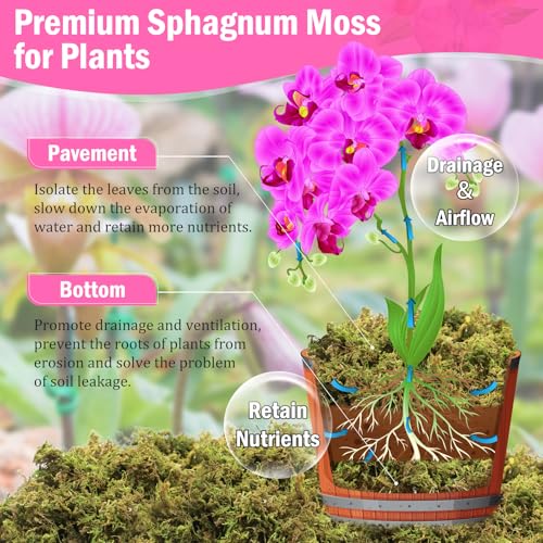Riare 4.4LBS Premium Sphagnum Moss for Plants- 80QT Natural Dried Plant Moss for Potted Plants, Orchid Moss for Repotting, Soft Green Decorative Moss for Succulents, Reptiles & DIY Crafts - color: 80 QT(Appx.4.4lbs)