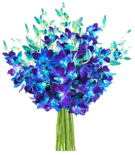 KaBloom-20 Blue Orchid Bouquet,Flowers for Valentine, Mother's Day - color: Ocean Blue, size: 20 count, style: Without Vase