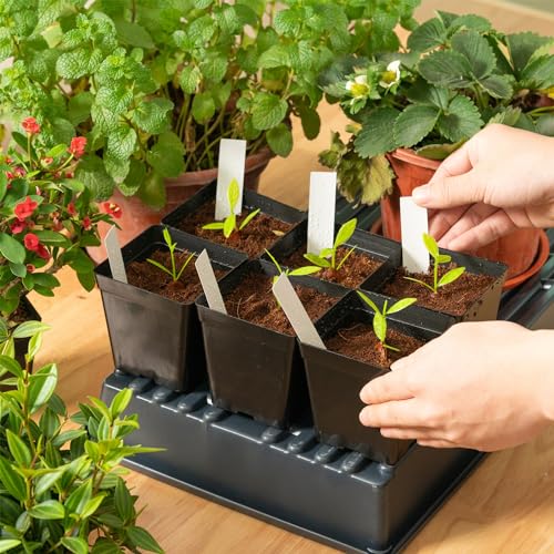 June Fox Square Nursery Pots 3.3 Inches Flexible Plastic Seedling Pots Square Pots for Plants, Succulent, Flower, Pack of 100, with 100 PCS Plant Labels - color: 100 Pcs