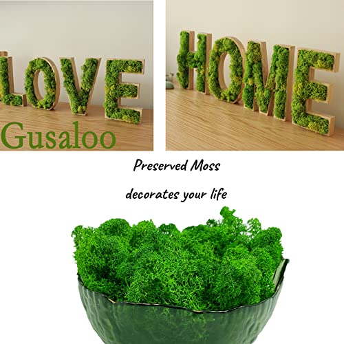 Moss Preserved Artificial Moss Natural Fresh Green Moss for Craft Arts Floral Project Wall Decor Table Decor Wedding Centerpieces Garden Terrariums Decoration -Mid Green 3.5OZ - color: Midgreen, size: 3.5oz