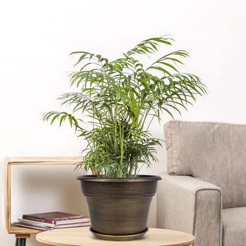 Plant Planters Pots Set of 6 Pack 6 Inch, Plastic Flower Pot For Indoor Plants With Drainage Holes & Trays, Resin Decorative Container Sets With Saucer For House Outdoor Garden Planters Dark Gold - color: Gold, size: 6 inch-6 pack