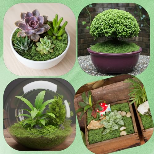 Fake Moss for Crafts 39" x 39" Faux Moss Mat with Base Fabric for Plants and100g Decorative Artificial Moss Green Faux Grass for Planters Crafts DIY Fairy Garden(Dark Green) - color: Dark Green
