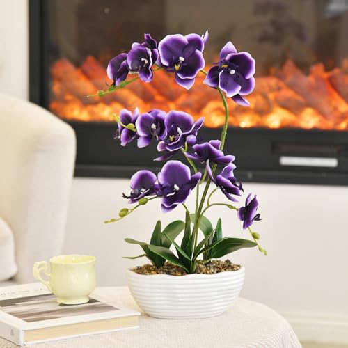 19" H Phalaenopsis Faux Orchid Plant Silk Orchid Centerpiece Artificial Floral Arrangement in Ceramic Pot (Deep Purple) - color: Deep Purple