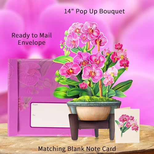 Airpark Pop Up Flower Bouquet Card for Women, 3D Floral Greeting Card with Envelope and Note, Birthday Thank You Thinking of You Get Well Gift for Mom Friend Wife Teacher, Orchid - style: Orchids