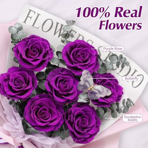 Casaido Preserved Flowers for Delivery, 7 Purple Roses Bouquet, Mothers Day Rose Gifts for Women, Valentines Rose Gifts for Mom Wife Girlfriend, Forever Real Flowers for Christmas Birthday Anniversary - color: Purple Rose
