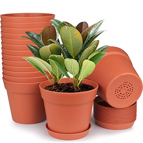 homenote Pots for Plants, 15 Pack 6 Inch Plastic Planters with Multiple Drainage Holes and Tray - Plant Pots for All Home Garden Flowers Succulents - color: Terra Cotta-15 Pcs, size: 6 Inch