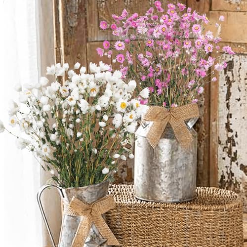 CITYES Dried Daisy Flowers Bouquet Dried Flowers Pink with Stems Real Chrysanthemum Gerber Daisies Arrangements for Wedding Farmhouse Vase Decorations DIY Home Party Wildflower Decor