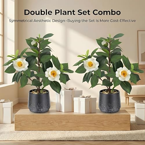 Gresorth 12" Artificial Small Camellia Flowers Tree Potted Fake Plants Bonsai Decoration Realistic Landscape Display for Home Office Table Livingroom 2 Pack - color: A - With Flowers