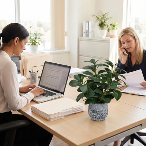 SHOHAYTO Artificial Plants for Home Decor - 13.2 Inch Fake Ficus Tree in Cement Planter, Real Looking Potted Faux Plants for Office Desk, Kitchen Shelf, Bookshelf & Indoor Decor - color: Green Artificial Plants