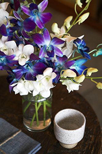 Blooms2Door-10 Blue&White Orchid Flowers for Valentine, Mother's Day
