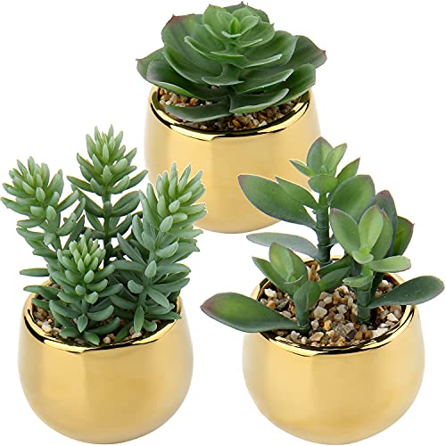 Briful Small Artificial Succulents in Pots Set of 3 Realistic Faux Succulents Plants with Gold Ceramic Pots Cute Mini Fake Plants Decor for Modern Home Table Office Desk Bathroom Shelf Decoration - color: Style #09