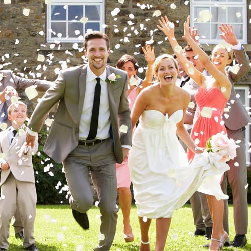 SITUMEIZI 3000PCS Rose Petals for Romantic Night for Her Set Flowers Wedding Party Decoration Marriage Proposals Decor Petals Fake Rose Artificial Silk Rose Petals(Ivory White) - color: Ivory White, size: 3000