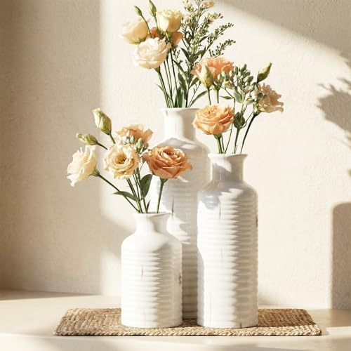 Firehold Ceramic Vase Set of 3, Flower Vases for Home Decor, Neutral Rustic Modern Farmhouse Vase, Decorative Centerpieces for Table Bookshelf Mantel Kitchen Living Room Office - color: 02-white