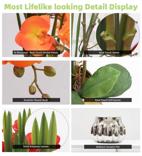 CXGS Artificial Orchid Flower Real Touch Faux Orchids in Ceramic Vase Large 22.9'' Fake Flowers Orange Phalaenopsis Floral for Home Indoor Decor - color: Orange- Silver (Large Pot)