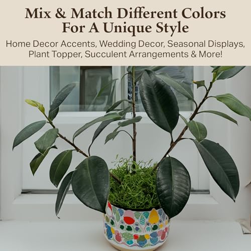 Preserved Spanish Moss - Decorative Dried Moss for Crafts, Home Decor, Art, Design & DIY Projects - for Indoor Use - Green Apple - Small Size - color: Green Apple, size: Small