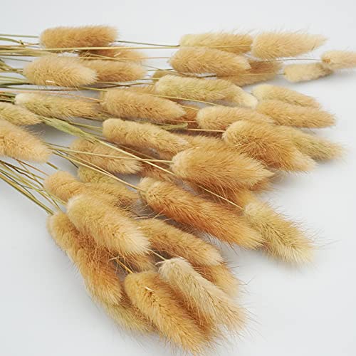 Uieke 17'' Natural Bunny Tails Dried Flowers, 120 Pcs Dried Lagurus Ovatus, Dried Brown Pampas Grass Decor for Farmhouse Flower Arrangements Wedding Home Boho Party Decorations - color: Brown-120pcs