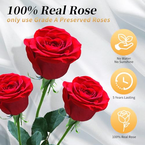 Yellow Single Forever Roses Luxury Gift for Women/Men, Fresh Flowers Bouquet for Girlfriend, Wife, Mom, Anniversary, Valentine's Day, Wedding, Graduation, Christmas, Birthday, Unique Presents for Her - color: Yellow