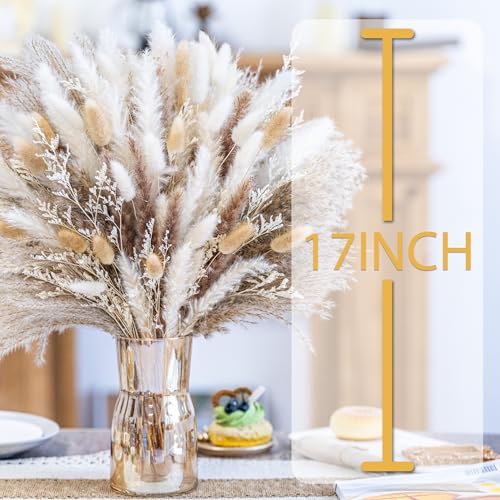 440PCS Natural Pampas Grass Decor Bouquet | Boho Dried Floral Arrangement Centerpiece Table Decor Wedding Decor Rustic Decor (440PCS) - size: 440PCS