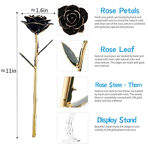 SW Rose Gifts for Women Forever Black Gold Dipped Rose 24k Gold Plated Eternal Flower Rose Birthsday for Her Mom Women Anniversary Valentines Day Mothers Day - color: Black