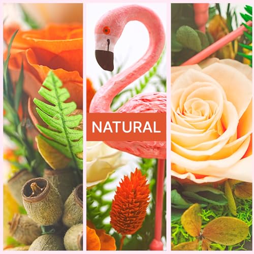 Eternal Flowers with Flamingo-Big Flower Big Love- Graduation Flowers Gifts for Daughter Wife Mom-Forever Flower in Glass Dome-Flowers for Delivery Prime on Anniversary Valentines Birthday(Champagne) - color: Champagne