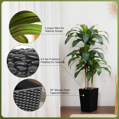 VeriNatural 5FT Artificial Dracaena Tree - UV Resistant Faux Tropical Plant, Potted Fake Tree with Taper Planter & Pebbles - Indoor Outdoor Greenery for Home, Porch, Living Room, Bedroom Decor, VN127 - color: Black, size: 5ft