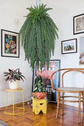 GnFlus Artificial Boston Fern 57 Inch Faux Fern with 59 Fronds, Realistic Ferns Artificial Plants Large Silk Fern Bush for Outdoor Indoor Hanging Planter, Porch Patio Home Farmhouse Garden Decor - size: 59 fronds
