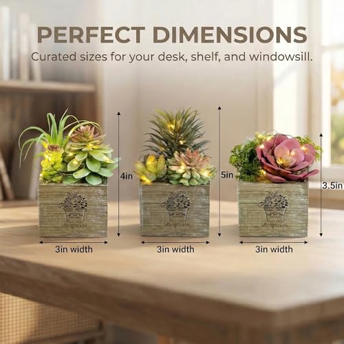 Small Fake Plants, 3 Packs Mini Succulent Plants Artificial with Led Lights for Indoor Bathroom Bedroom Desk Office Decor - color: Morning Mist