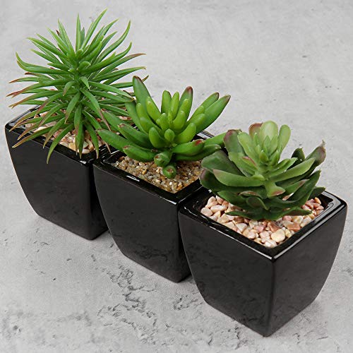 Hollyone Small Succulents Artificial 3 Pcs Faux Succulents in Pots Fake Succulent Plants with Black Ceramic Pots for Modern Home Office Desk Bathroom Shelf Living Room Decor - color: 3pack - Black Ceramic
