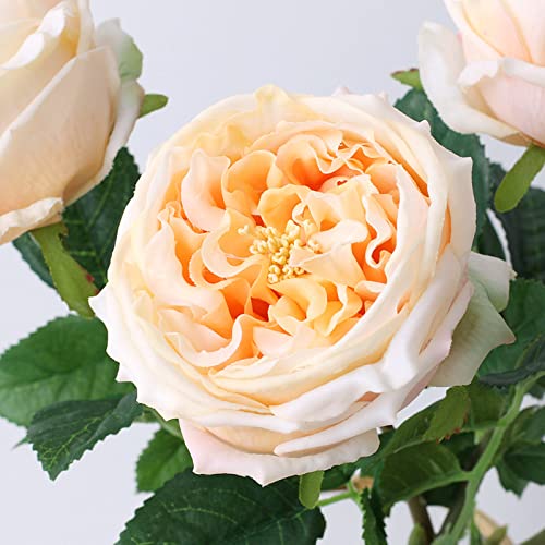 UKELER Artificial Roses 4 Pcs Real Touch Artificial Flowers Champagne Austin Rose Peony with Stem for Home Decor Flower Arrangement Wedding Party Decoration - color: Champagne