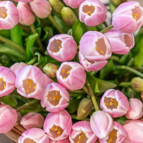 Artificial Tulips Flowers,Soft Touch Latex Bouquet, Fake Tulips,Spring Wedding Home Room Table Centerpiece Decor - color: 60pcs Baby Pink Set(no Vase)