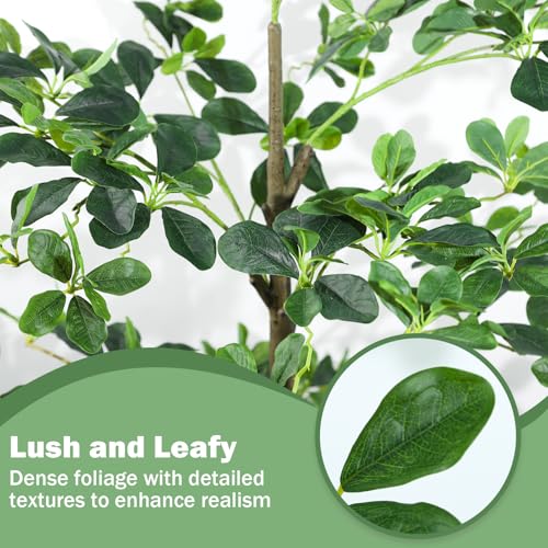 Caxchiling Artificial Black Olive Tree 6FT, Fake Potted Tree for Indoor Outdoor, Lifelike Faux Floor Plants with Moss Topper and Cotton Basket, Home Office Living Room Bedroom Doorway Hallway Decor - color: Black Olive