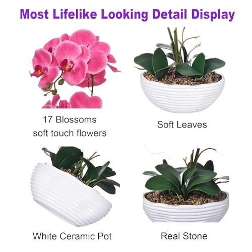 19" H Phalaenopsis Faux Orchid Plant Silk Orchid Centerpiece Artificial Floral Arrangement in Ceramic Pot (Rose Red) - color: Rose Red