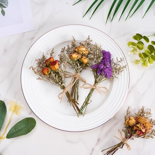 12/24 PCS Charming Dried Flowers Bouquet for Vase Various Dried Wildflowers with Stems Mini Handmade Wildflowers Natural Real Flowers Bulk Flowers Craft (Forget Me Not, 12 PCS) - color: Forget Me Not