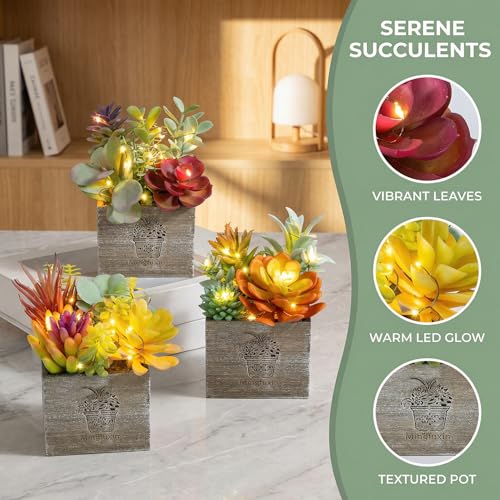 Succulents Plants Artificial, Small Faux Plants with Lights, Assorted Decorative Fake Succulent Potted for Office Desk Bathroom Bedroom Shelves Windows Room Decor - color: Natural Logic