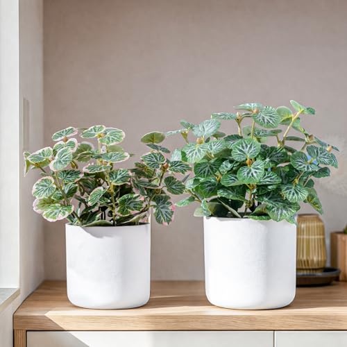Small Artificial Plants Desk Potted Plants with Minimalist White Pot Realistic Silk Greenery Indoor Decor for Shelf Home Bathroom Farmhouse Room Coffee Table (Green-Type 3) - color: Green-type 3